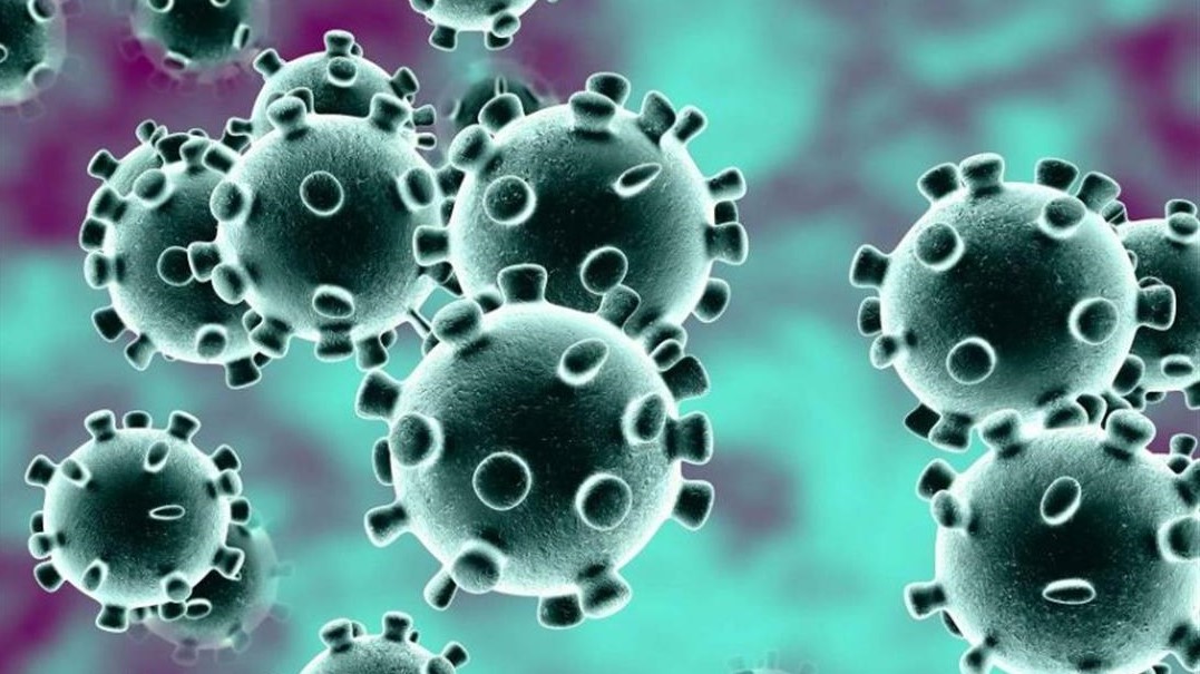 تحذير من الصحة العالمية بسبب فيروس كورونا .. وسر ظهور “أصابع كوفيد”‎