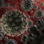 موعد انتهاء كورونا.. علماء يحددون توقيت السيطرة على فيروس COVID-19