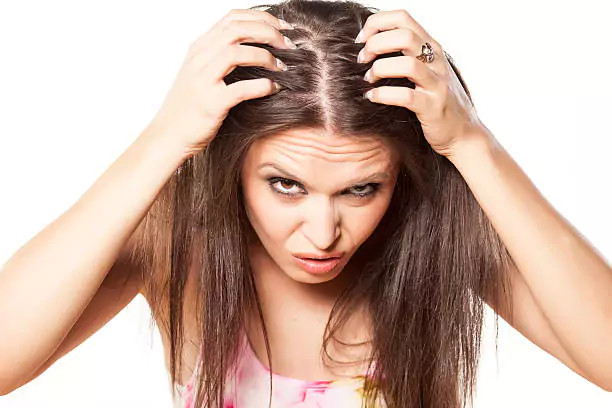 طريقة كتابة المراجع في البحث العلمي