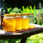 فوائد عسل الكزبرة على صحة الجسم
