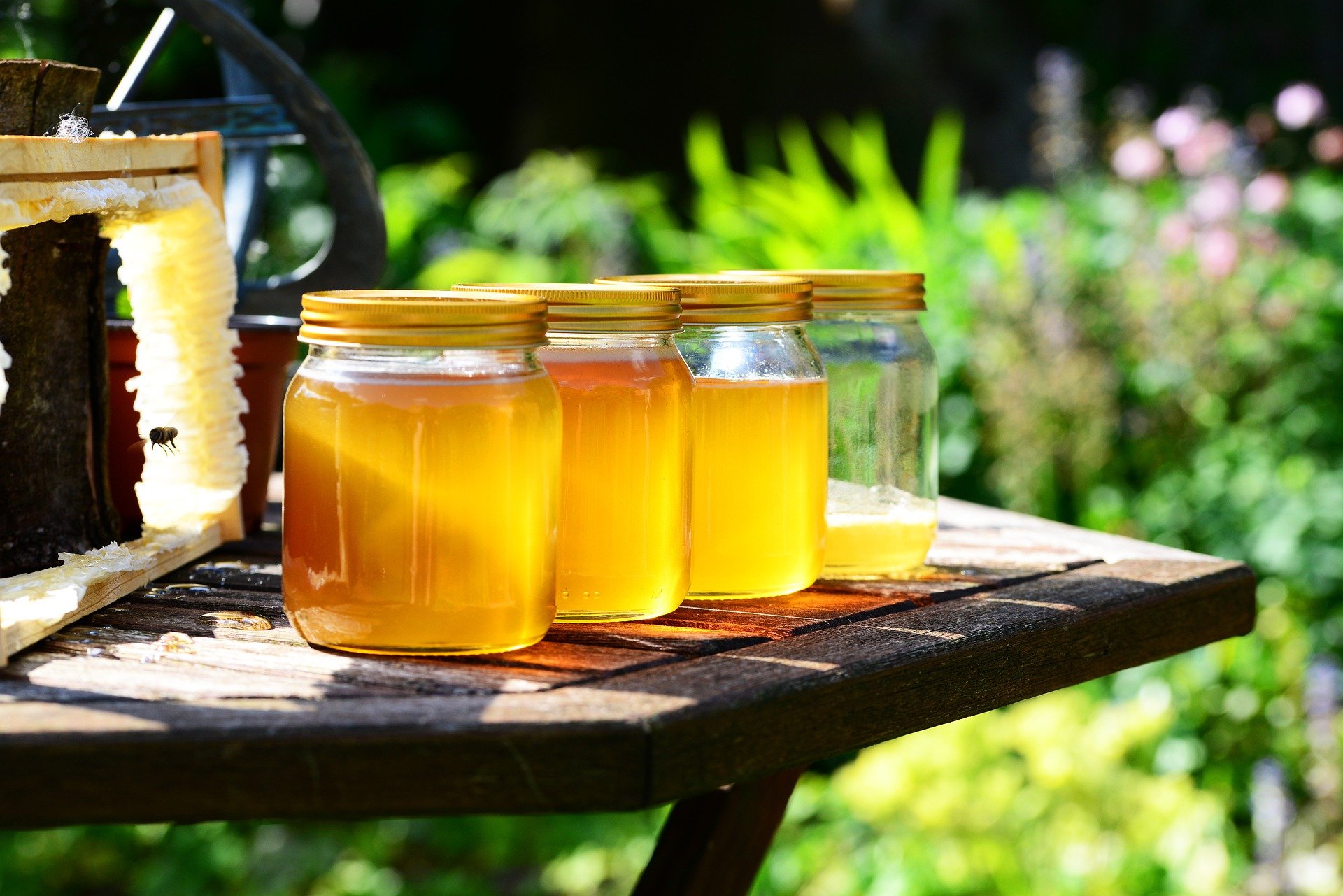 فوائد عسل الكزبرة على صحة الجسم‎