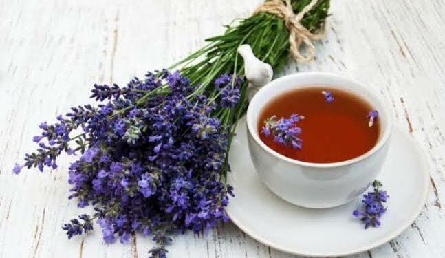 فوائد شاي اللافندر شفاء لـ11 علة مرضية