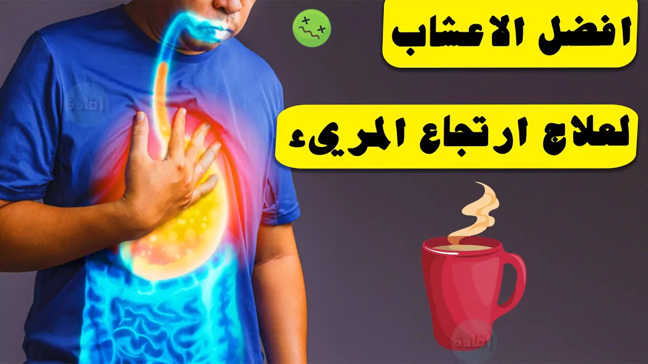 طريقة كتابة المراجع في البحث العلمي