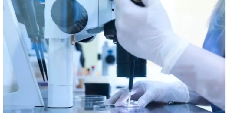 أفضل مركز حقن مجهري في مصر