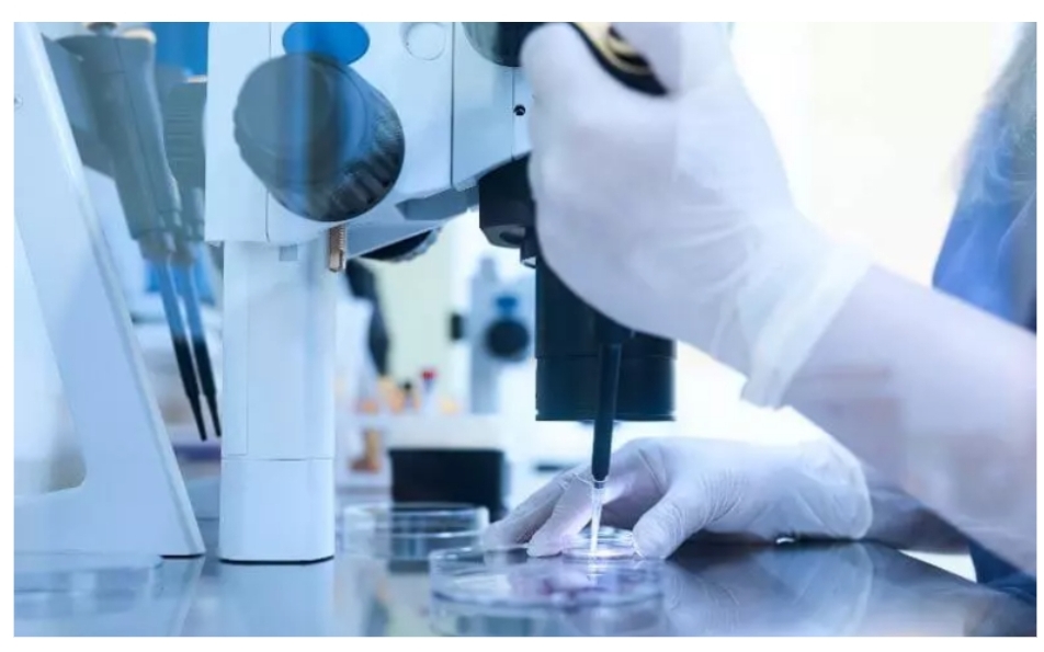 أفضل مركز حقن مجهري في مصر